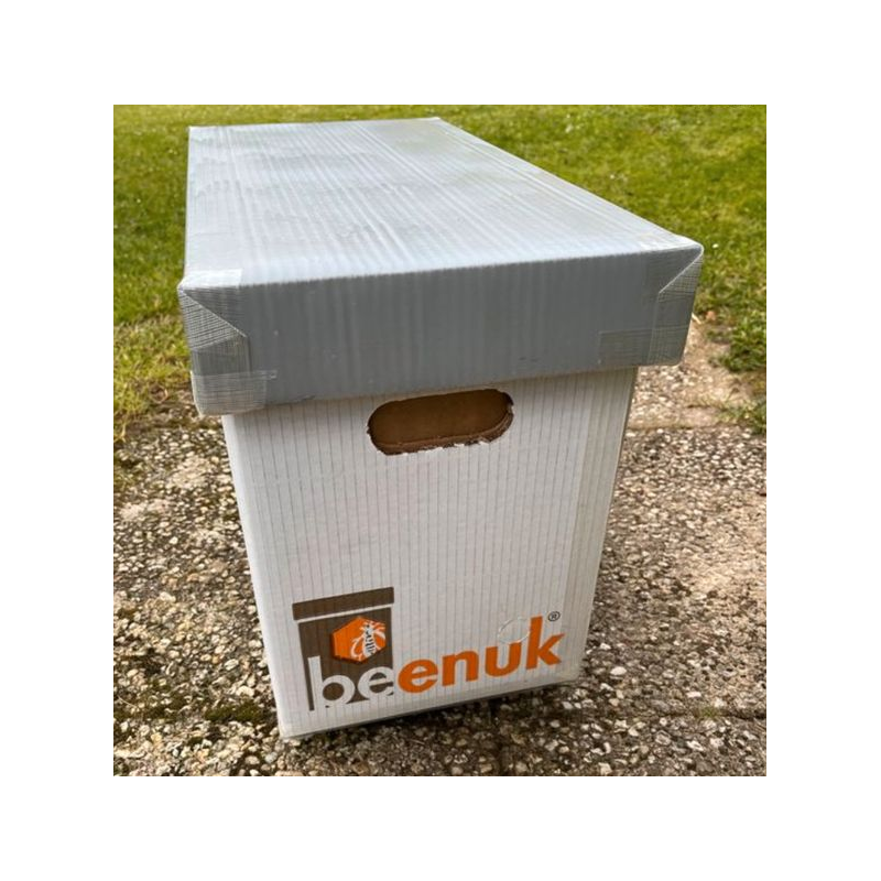 Ruchette Beenuk - Miellerie Locaruche Ruchette Beenuk - Miellerie Locaruche