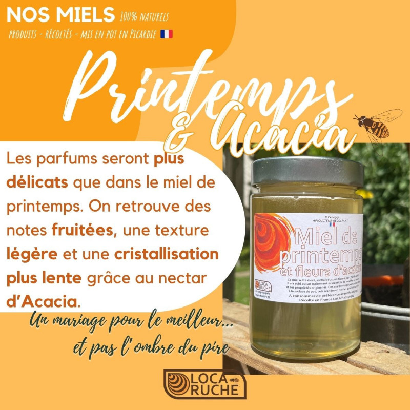 Miel de Printemps & Acacia - Miellerie Locaruche (Oise)