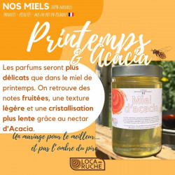 miel acacia français naturel écologique apiculteur récoltant en picardie printemps