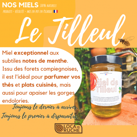 miel tilleul mentholé français naturel écologique apiculteur récoltant en picardie